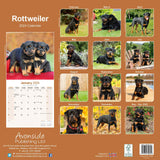 Rottweiler Calendar 2024 by Avonside