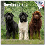Newfoundland Wall Calendar 2024