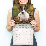 Fox Terrier Wall Calendar 2024