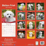 Bichon Frise Calendar 2024 by Avonside