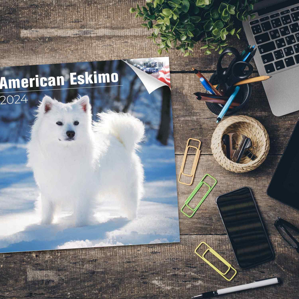 American Eskimo Wall Calendar 2024