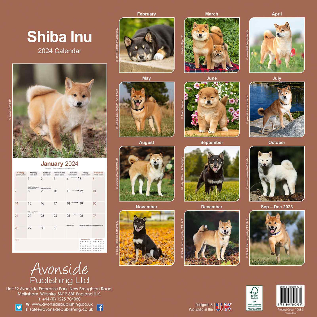 Shiba Inu Calendar 2024 by Avonside