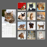 Cats Wall Calendar 2024