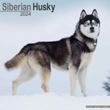 Siberian Husky Calendar 2024 by Avonside