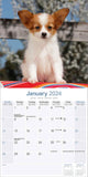 Papillon Calendar 2024 by Avonside