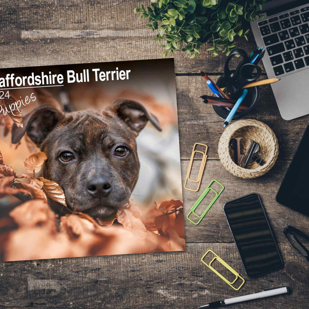 Staffordshire Bull Terrier Puppies Wall Calendar 2024