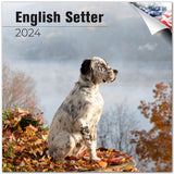English Setter Wall Calendar 2024