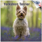 Yorkshire Terrier Wall Calendar 2024