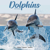 Dolphins Calendar 2024 by Avonside