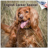 English Cocker Spaniel Wall Calendar 2024