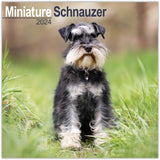 Schnauzer Miniature Wall Calendar 2024
