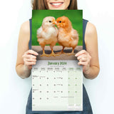Chickens Wall Calendar 2024