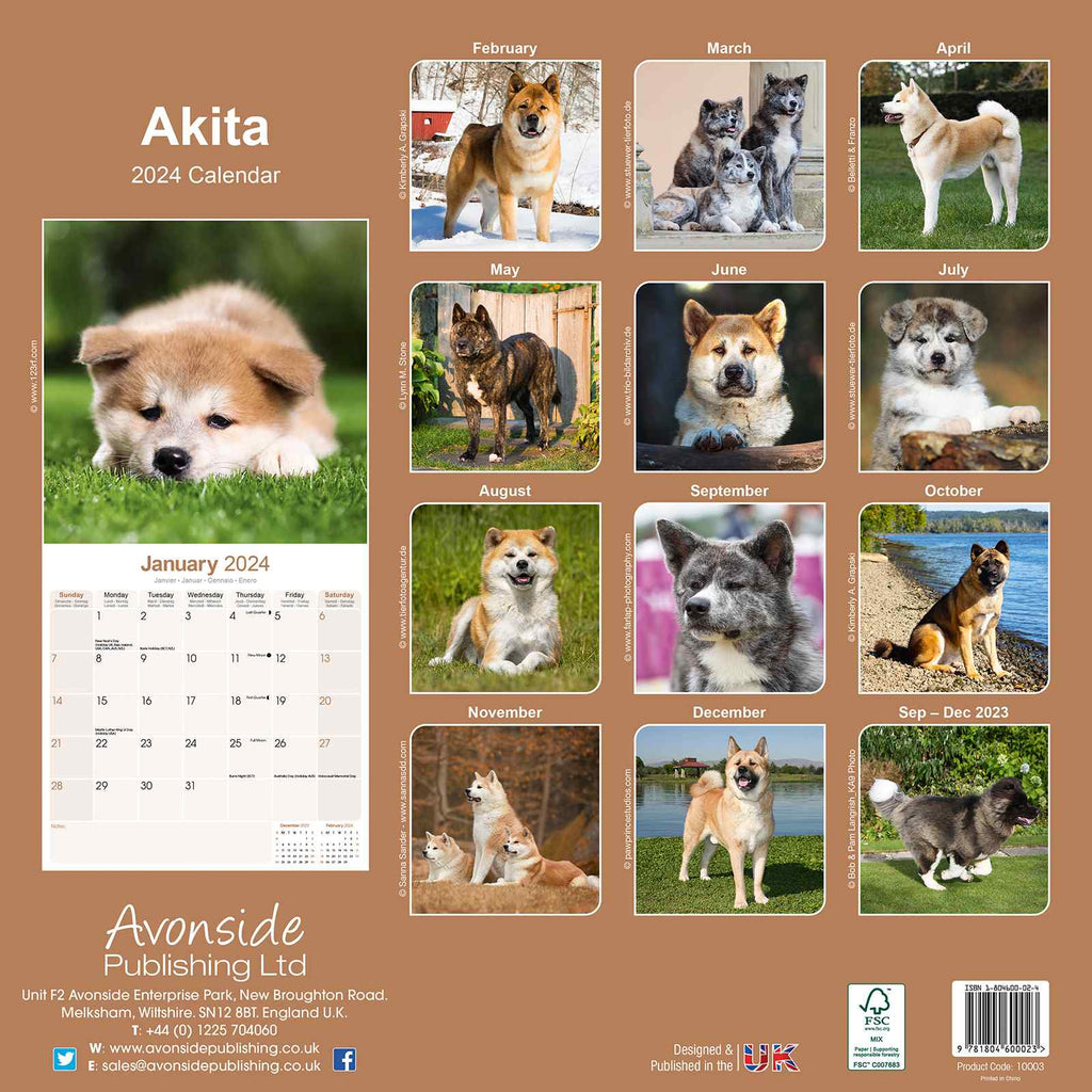 Akita Calendar 2024 by Avonside