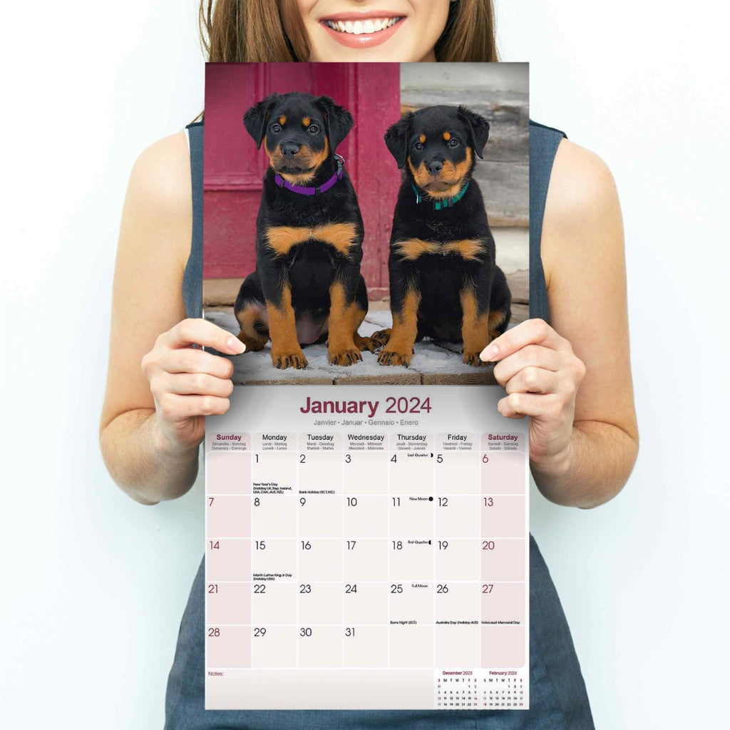 Rottweiler Puppies Wall Calendar 2024