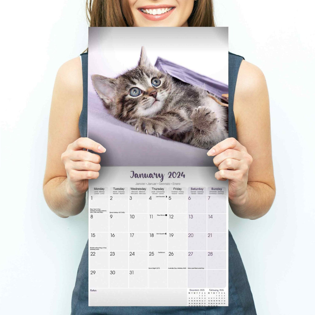 Kittens Wall Calendar 2024