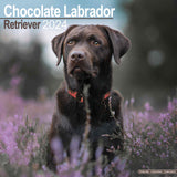 Chocolate Labrador Calendar 2024 by Avonside