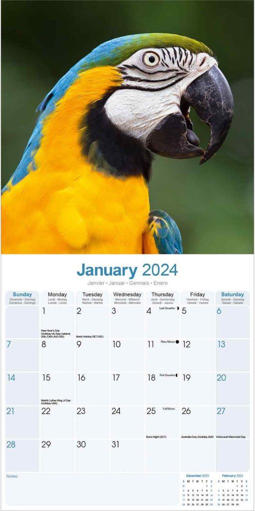 Macaws Wall Calendar 2024