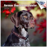 German Shorthaired Pointer Wall Calendar 2024