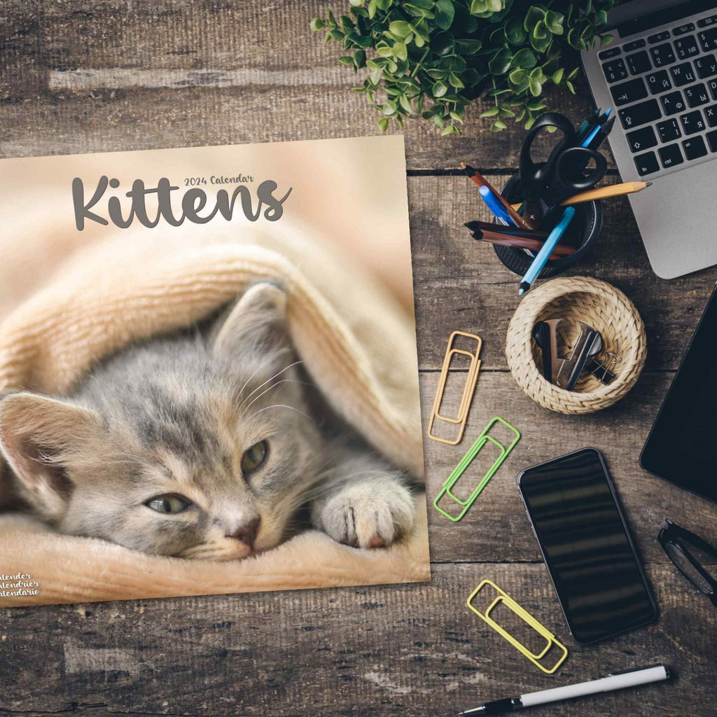 Kittens Wall Calendar 2024