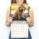 Puppies Calendar 2024 by Avonside
