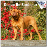 Dogue de Bordeaux Wall Calendar 2024