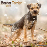 Border Terrier Calendar 2024 by Avonside