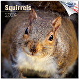 Squirrels Wall Calendar 2024