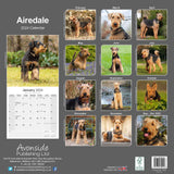 Airedale Calendar 2024 by Avonside