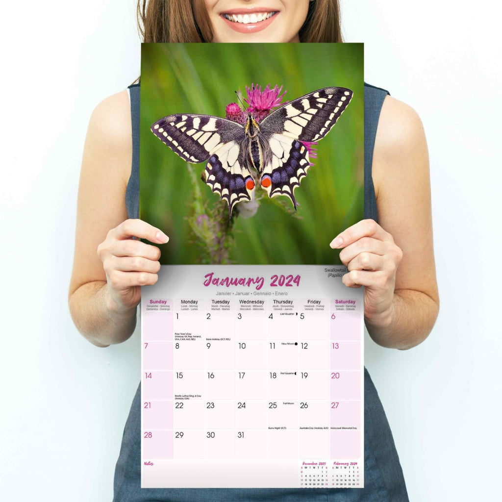Butterflies Wall Calendar 2024