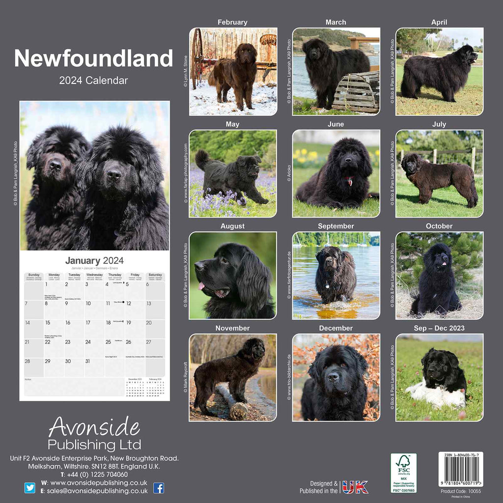 Newfoundland Calendar 2024 by Avonside