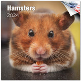 Hamsters Calendar 2024
