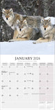 Wolves Calendar 2024 by Avonside