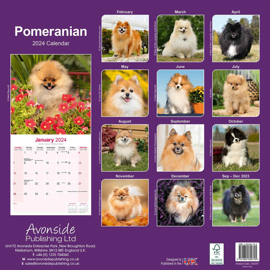 Pomeranian Calendar 2024 by  Avonside