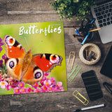 Butterflies Wall Calendar 2024