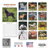 Arabian Horses Wall Calendar 2024