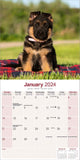 German Shepherd Pups Calendar 2024 by Avonside