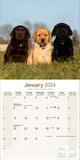 Labrador Ret (Mixed) Wall Calendar 2024
