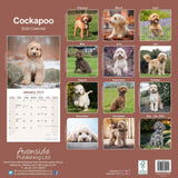 Cockapoo Calendar 2024 by Avonside