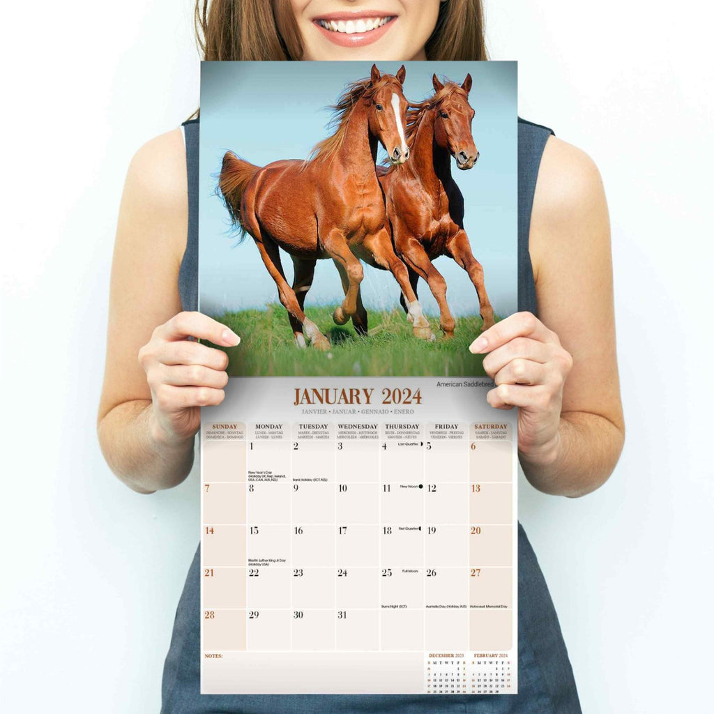 Horses Wall Calendar 2024