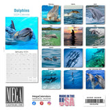 Dolphins Wall Calendar 2024