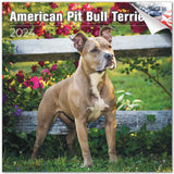 American Pit Bull Terrier Wall Calendar 2024