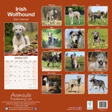 Irish Wolfhound Calendar 2024 by Avonside