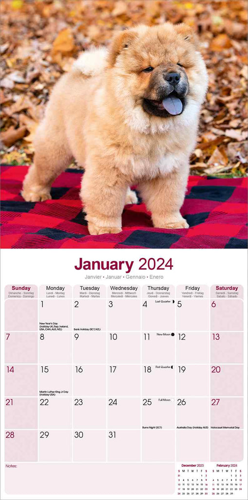 Chow Chow Calendar 2024 by Avonside