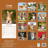 Corgi Calendar 2024 by Avonside