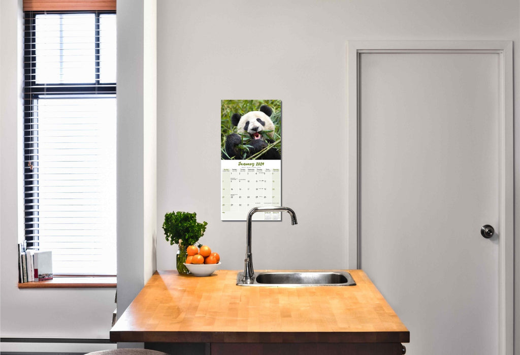 Pandas Wall Calendar 2024