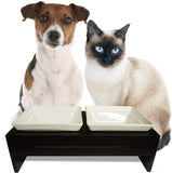 Premium Elevated Dog and Cat Pet Feeder