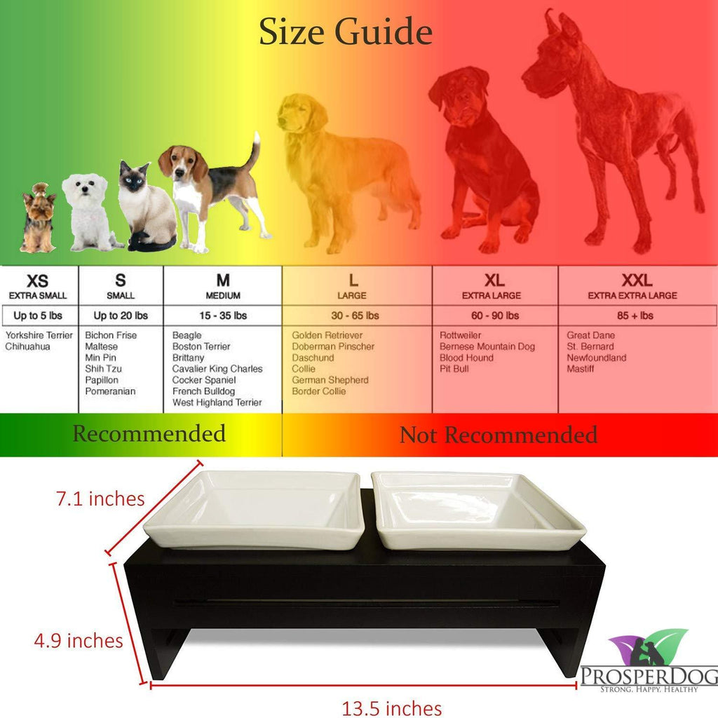 Premium Elevated Dog and Cat Pet Feeder