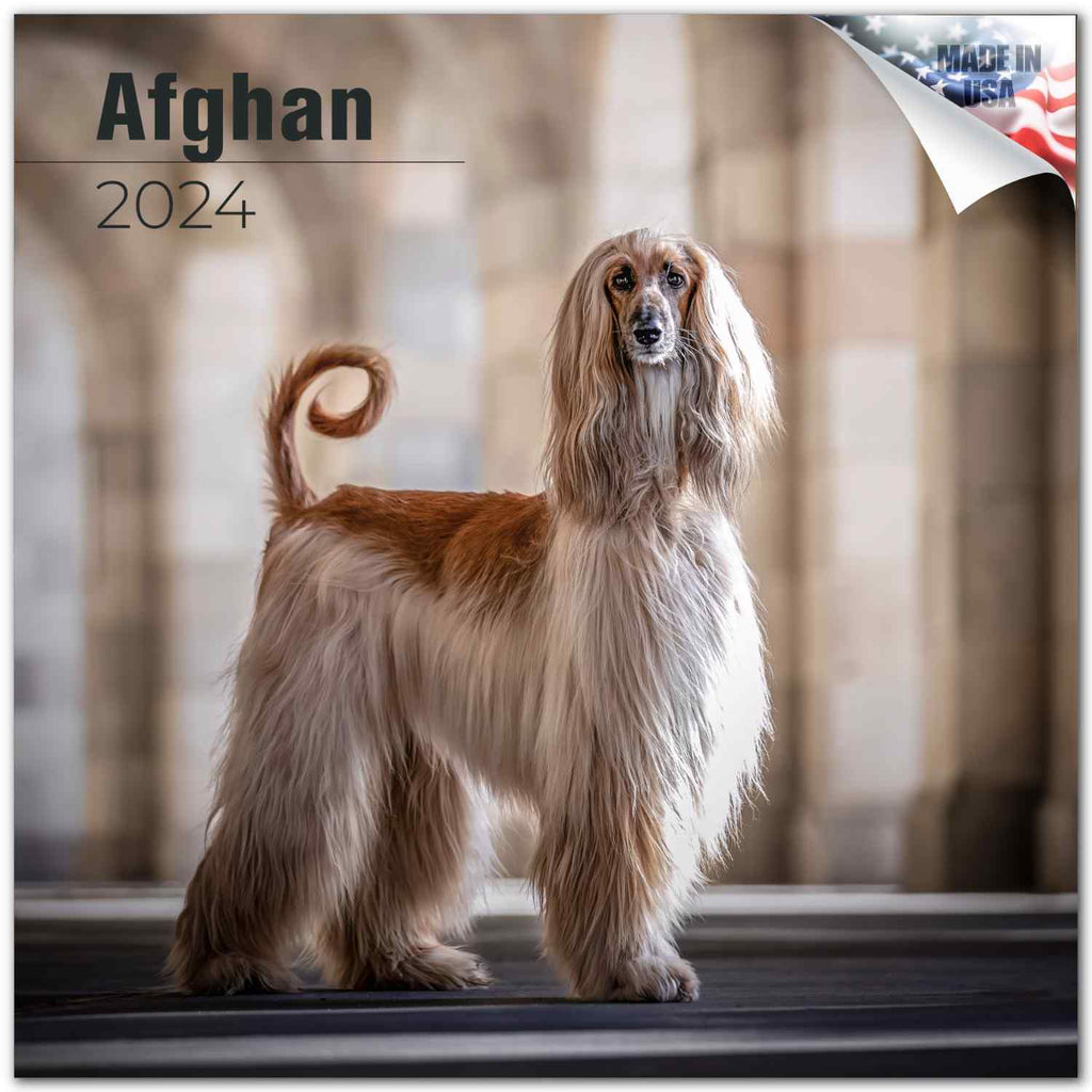Afghan Calendar 2024