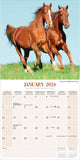Horses Wall Calendar 2024