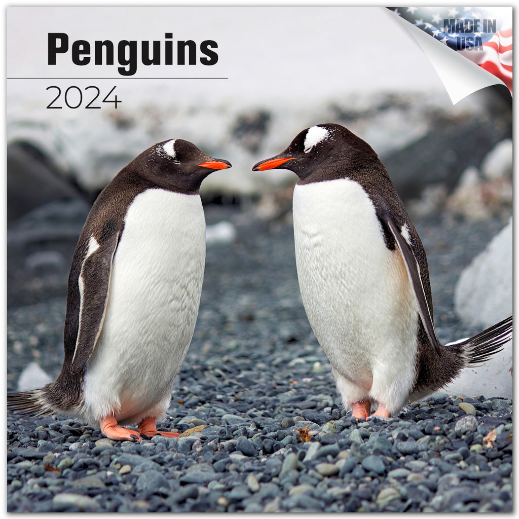 Penguins Calendar 2024